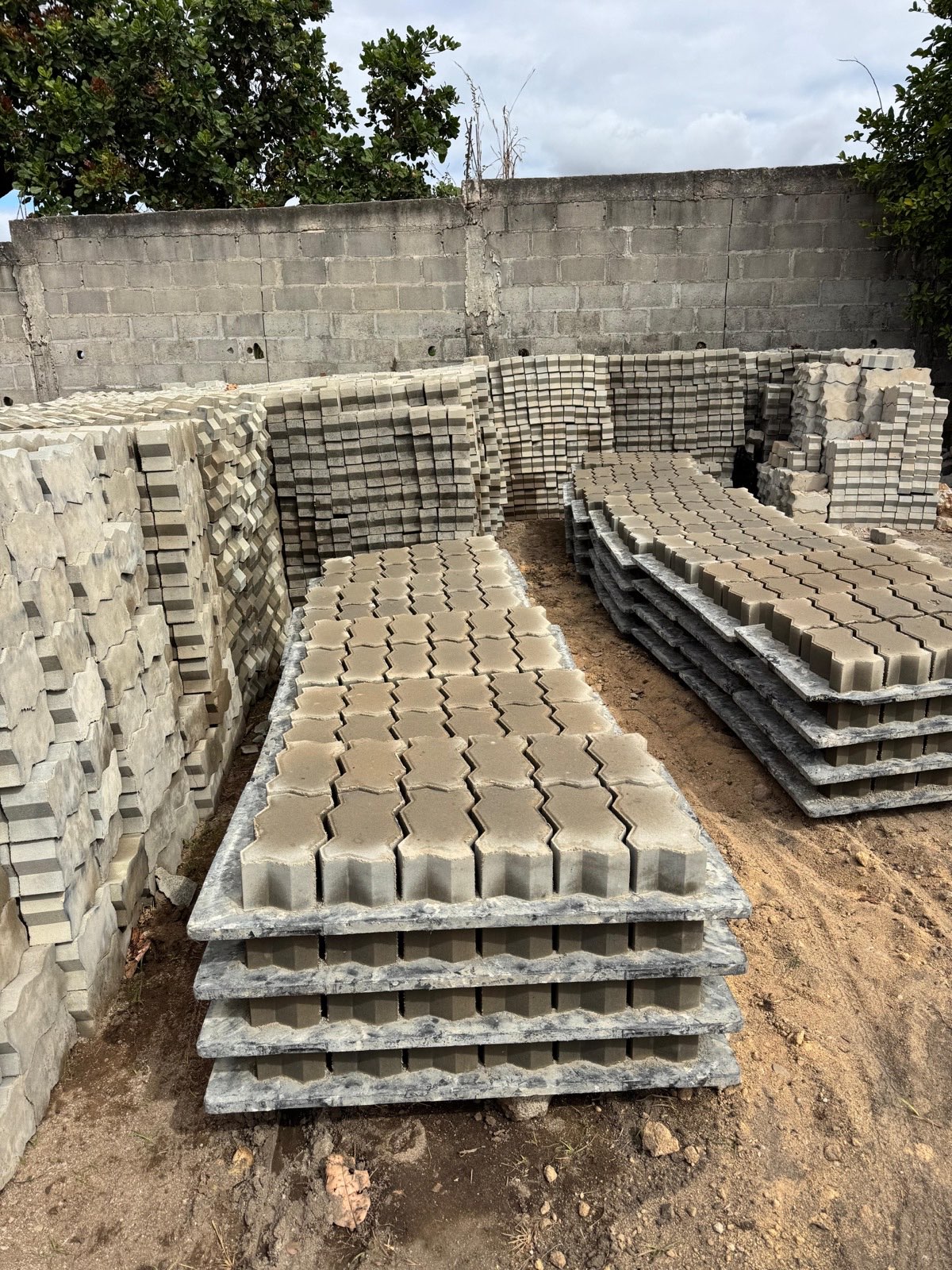 Pavês recém-produzidos em paletes, em fase de cura